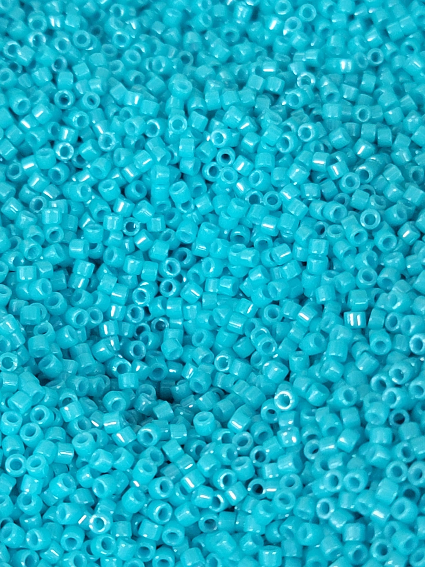 Delica Seed Beads