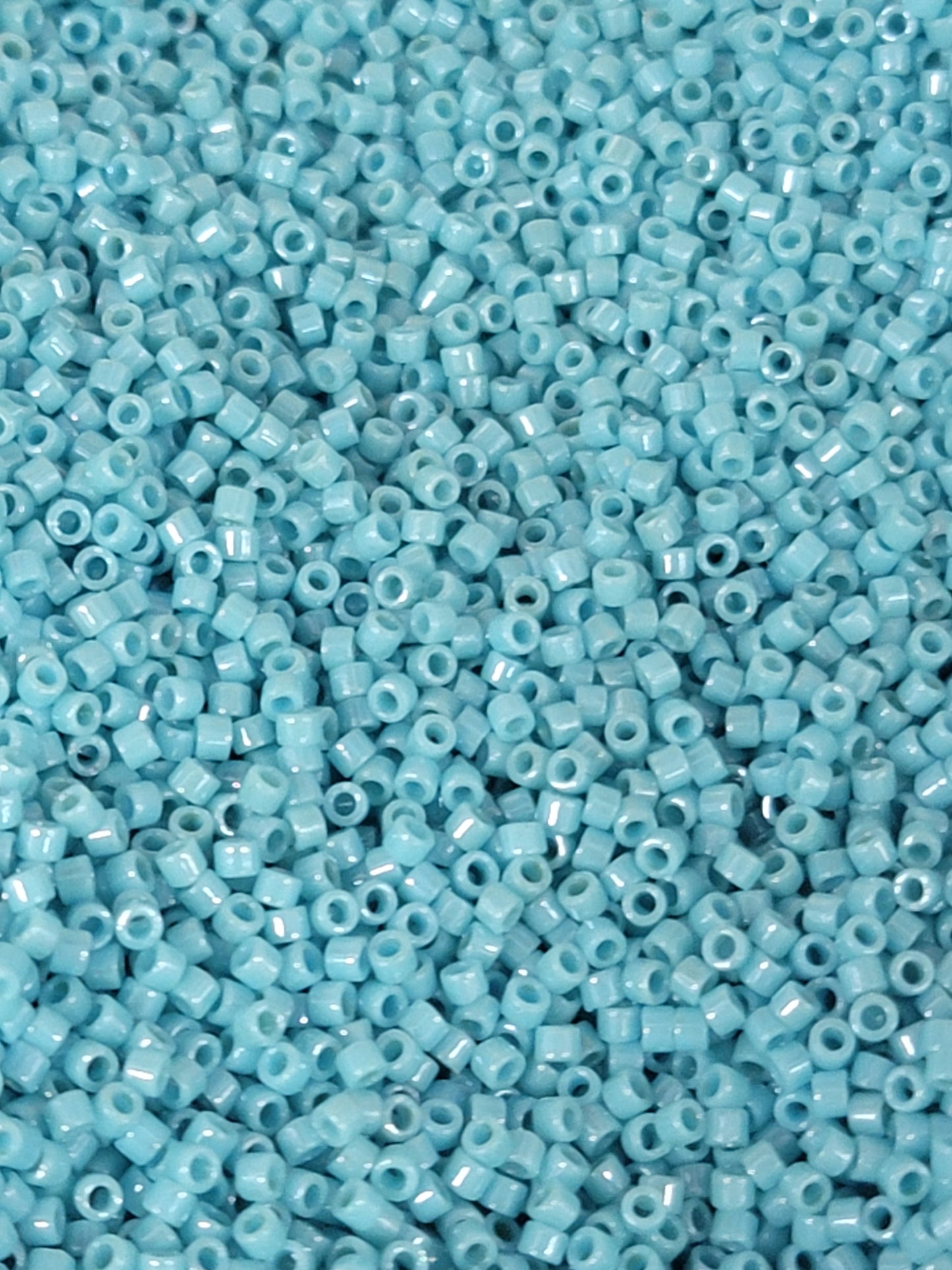 Delica Seed Beads