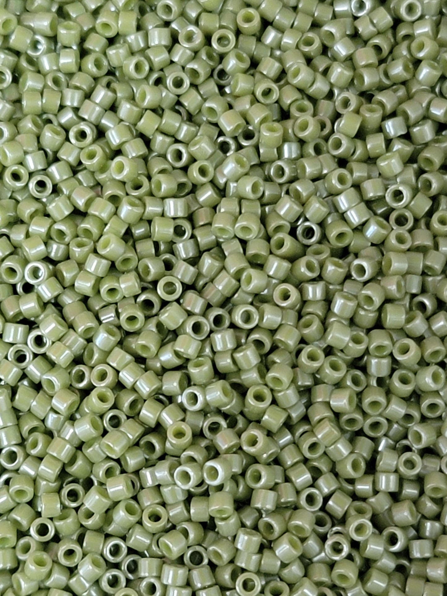 Delica Seed Beads