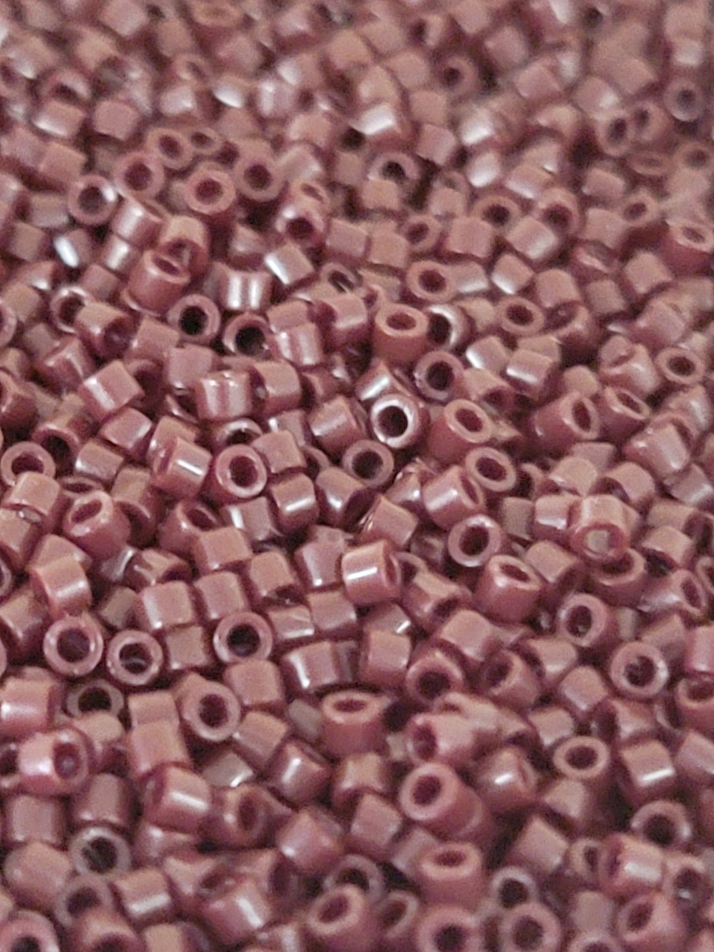 Delica Seed Beads